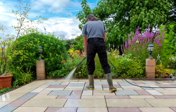 Best Driveway Pressure Washing  in Lorenzo, TX